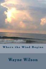 Where the Wind Begins