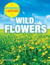 Wild Flowers