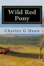 Wild Red Pony