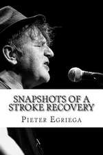 Snapshots of a Stroke Recovery