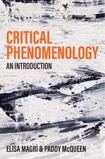 Critical Phenomenology – An Introduction