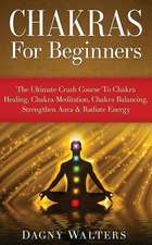 Chakras for Beginners