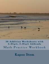 30 Addition Worksheets with 5-Digit, 2-Digit Addends