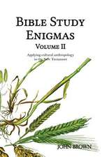 Bible Study Enigmas, Volume II