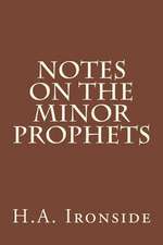 Notes on the Minor Prophets