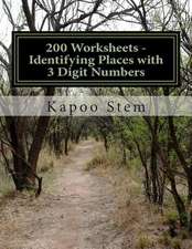 200 Worksheets - Identifying Places with 3 Digit Numbers