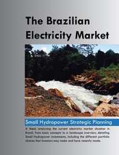 The Brazilian Electricity Market