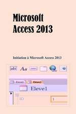 Microsoft Access 2013