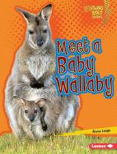 Meet a Baby Wallaby Meet a Baby Wallaby