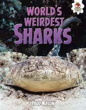 World's Weirdest Sharks