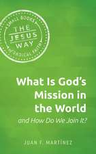 What Is God's Mission in the World and How Do We Join It?