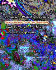 Psychodelic Photoshopped Images Nature Landscape Tree & Leaf Photography