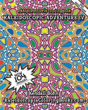 Kaleidoscopic Adventure IV