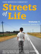 Streets of Life Collection Vol. 1 2011