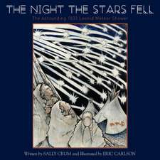 The Night the Stars Fell