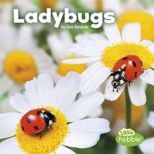 Ladybugs