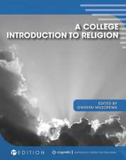 A College Introduction to Religion