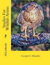 Cooper's Hawks