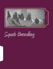 Squab Breeding