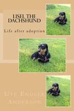 Lisel the Dachshund: Life After Adoption