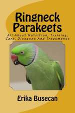 Ringneck Parakeets