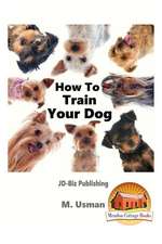 How to Train Your Dog