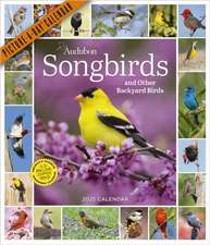 Audubon Songbirds and Other Backyard Birds Picture-A-Day(r) Wall Calendar 2025