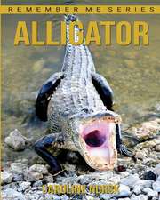 Alligator