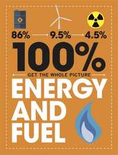 Mason, P: 100% Get the Whole Picture: Energy and Fuel