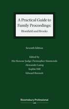 A Practical Guide to Family Proceedings: Blomfield and Brooks