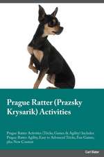 Prague Ratter Prazsky Krysarik Activities Prague Ratter Activities (Tricks, Games & Agility) Includes