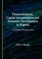 Financialisation, Capital Accumulation and Economic Development in Nigeria