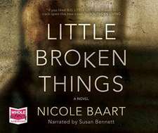 Baart, N: Little Broken Things