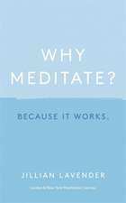 Why Meditate? Because it Works