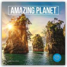 Carousel Calendar: Amazing Planet - Fantastische Erde 2025 -