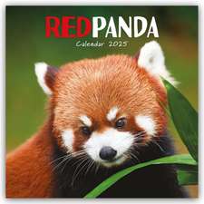 Carousel Calendar: Red Panda - Rote Pandas - Rote Pandabären