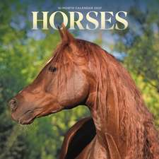 Horses 2027 Mini Wall Calendar