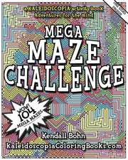 Mega Maze Challenge