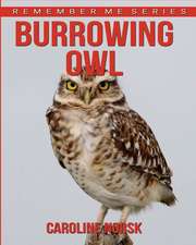 Burrowing Owl