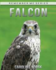 Falcon