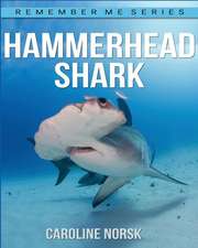 Hammer Head Shark