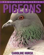 Pigeons