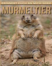 Murmeltier