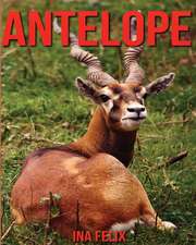 Antelope