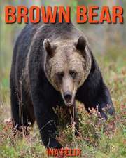 Brown Bear