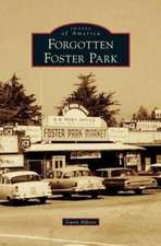 Forgotten Foster Park