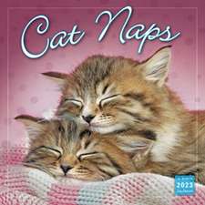 CAT NAPS