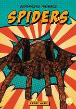 SPIDERS