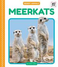 Meerkats