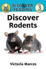 Discover Rodents